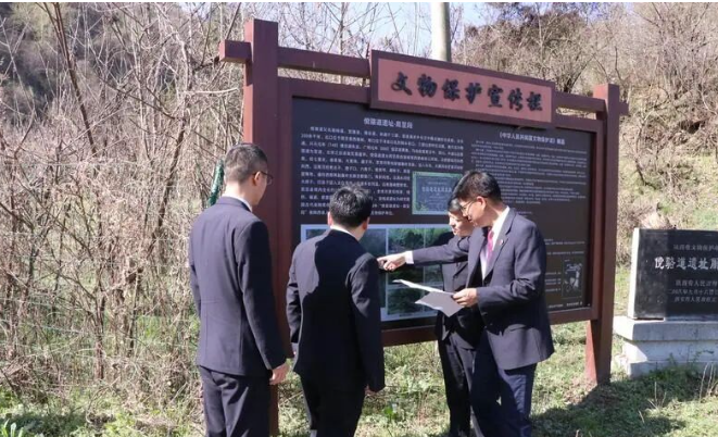 以检察履职守护古城文脉，赓续历史文明薪火