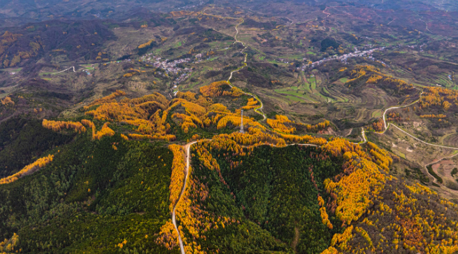 秦州区齐寿山：绚烂风光绘就生态与文化和美共生瑰丽画卷