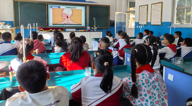 守护呼吸，科学防疫：五里头小学开展呼吸道健康专题探究