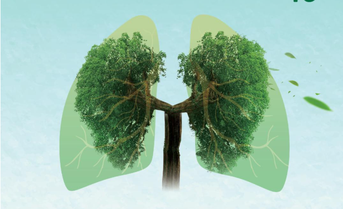 大气污染与健康专题