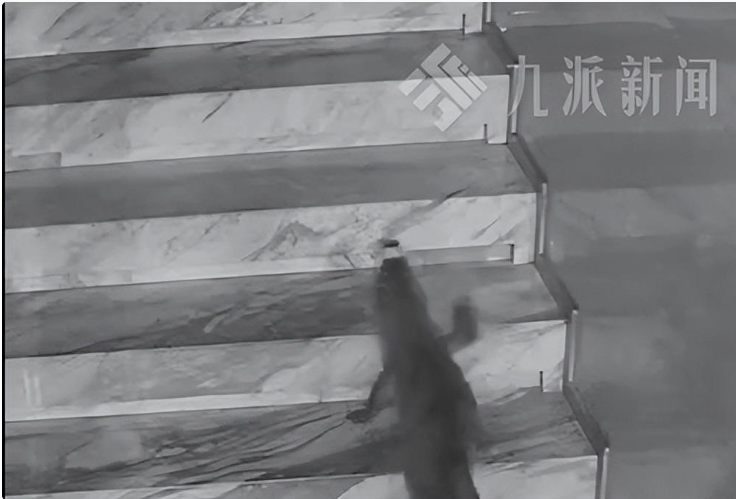 山东一酒店鳄鱼夜间爬出鱼缸，4小时爬上2楼，负责人发声
