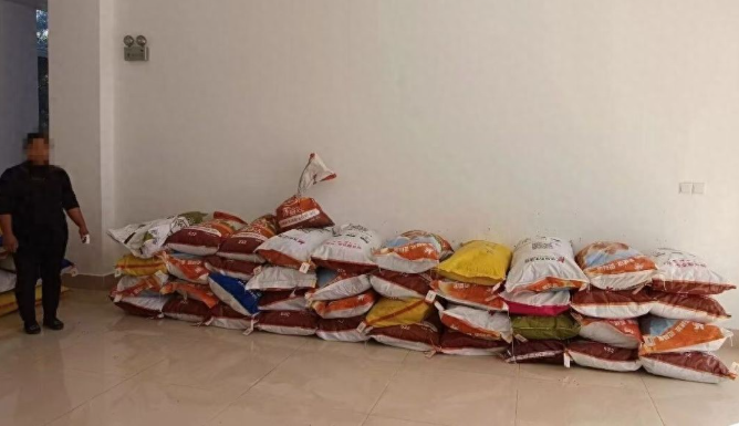 云南临沧破获一起非法贩卖毒品原植物种子案，抓获1人